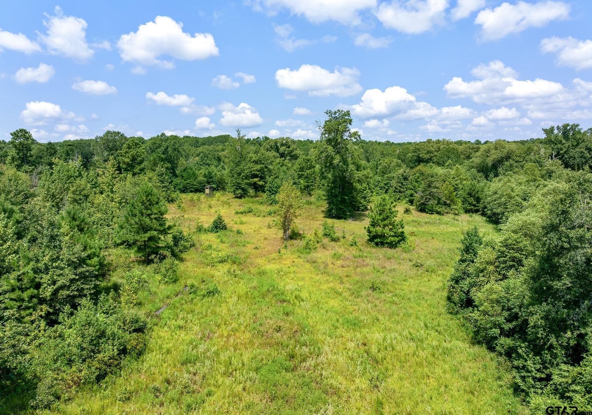 131.64 acres in Cherokee County - photo 16