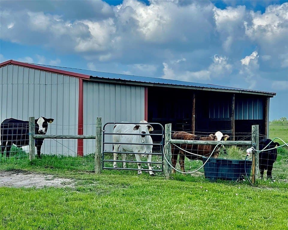 10.01 acres in Fayette County - photo 27