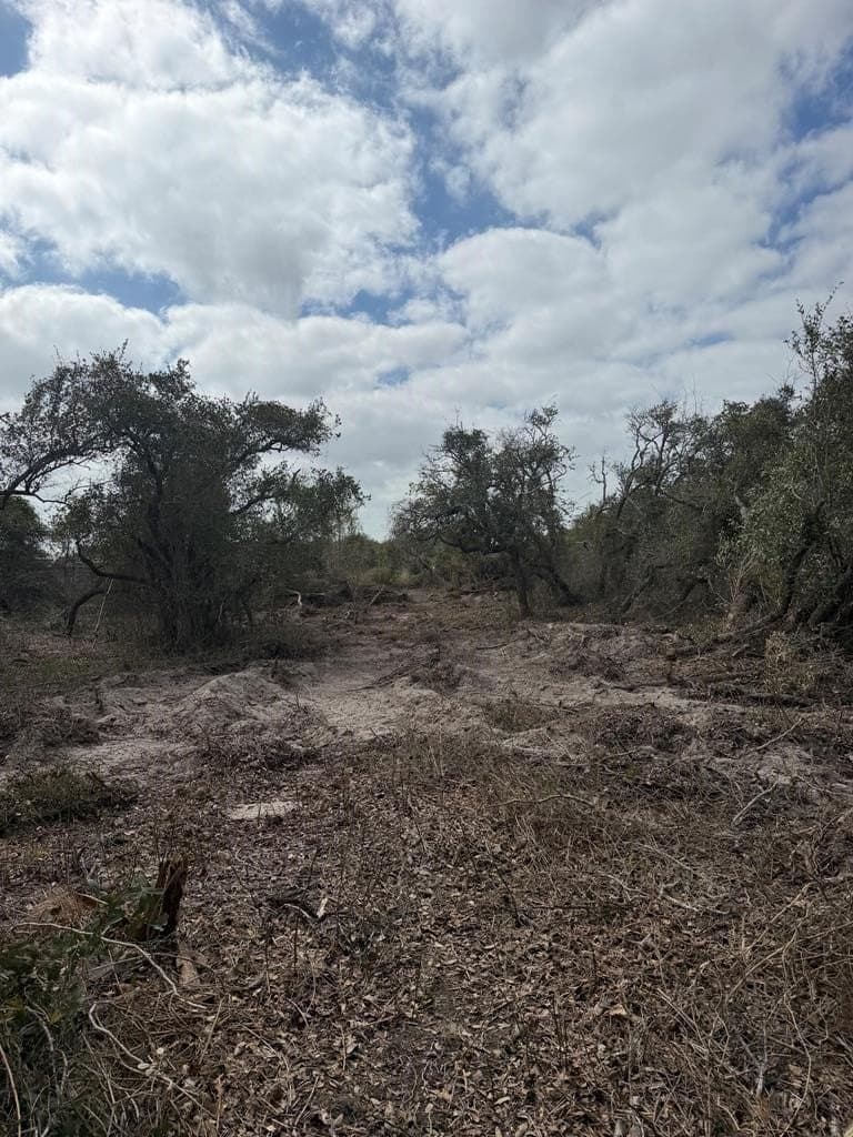 0 acres in Texas County - photo 6