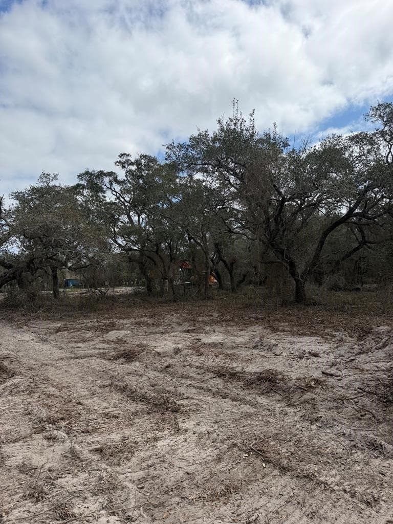 0 acres in Texas County - photo 8