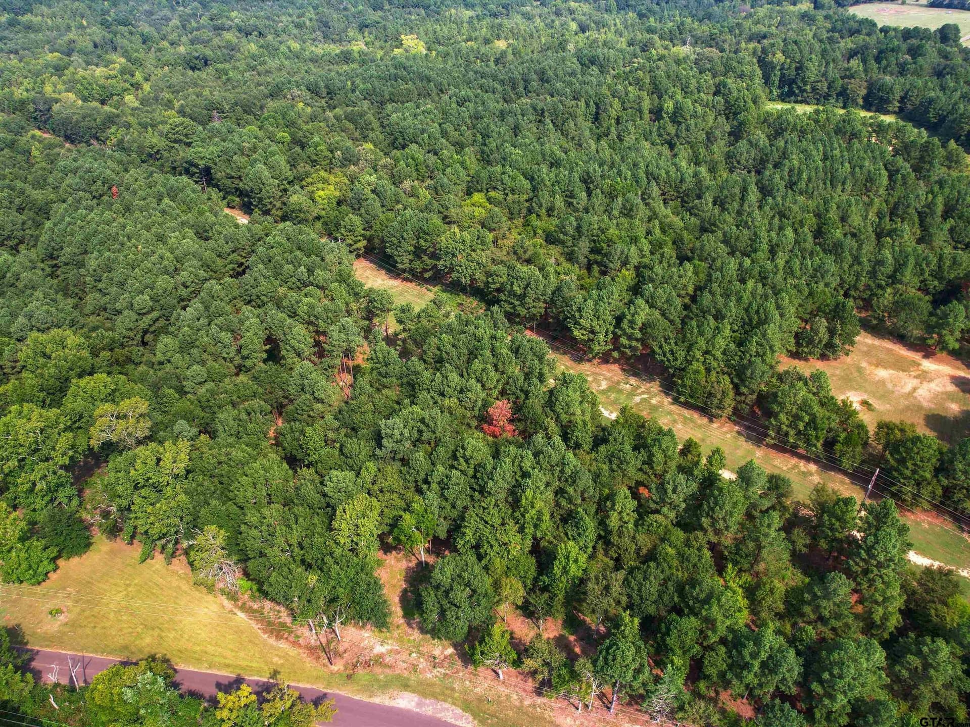 10 acres in Wood County - photo 5