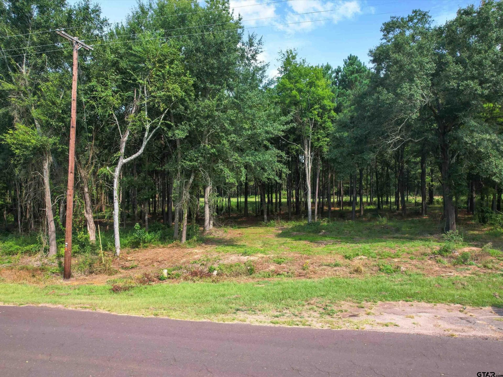 10 acres in Wood County - photo 7