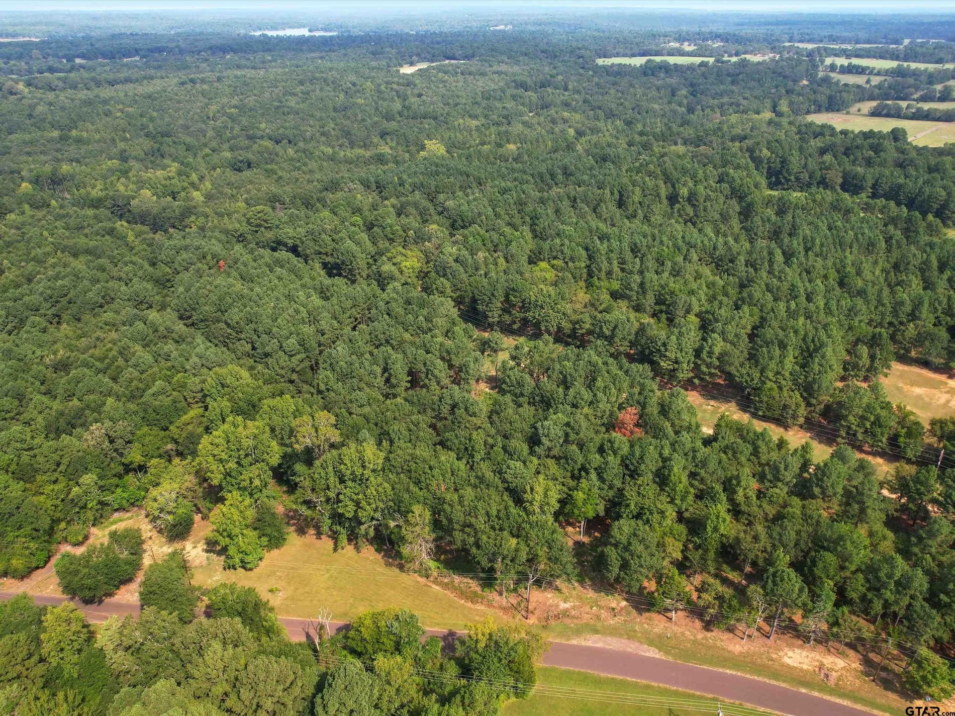 10 acres in Wood County - photo 3