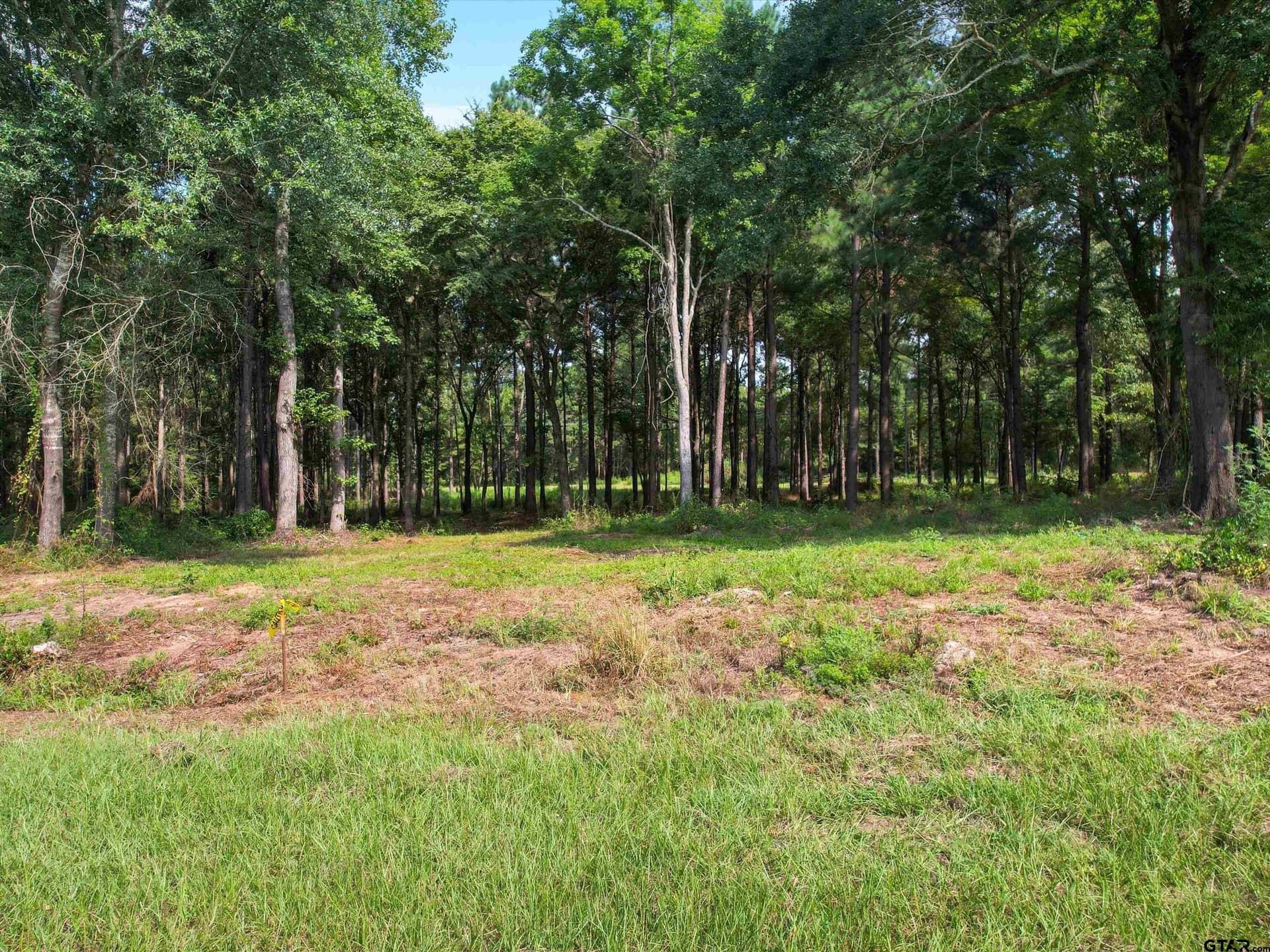 10 acres in Wood County - photo 2