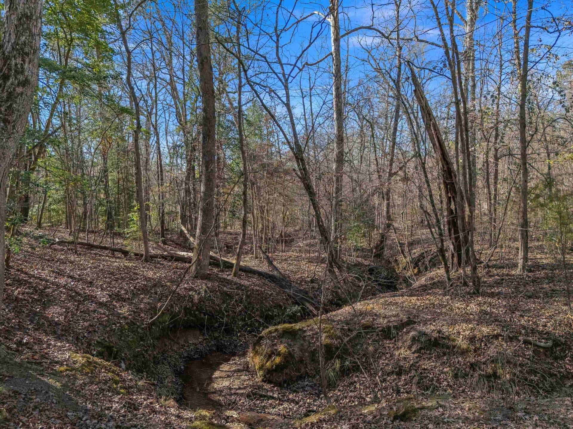 40 acres in Smith County - photo 39