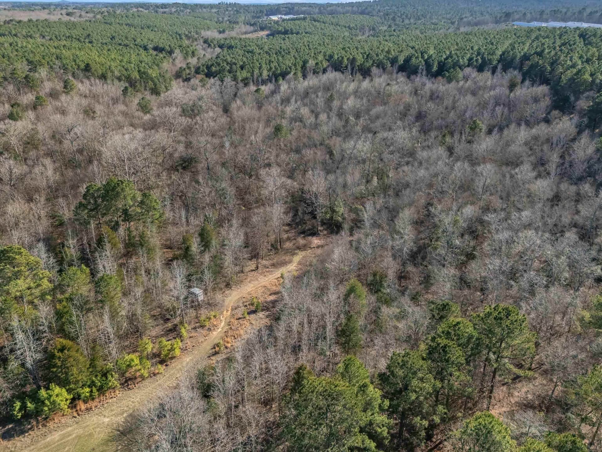 40 acres in Smith County - photo 37