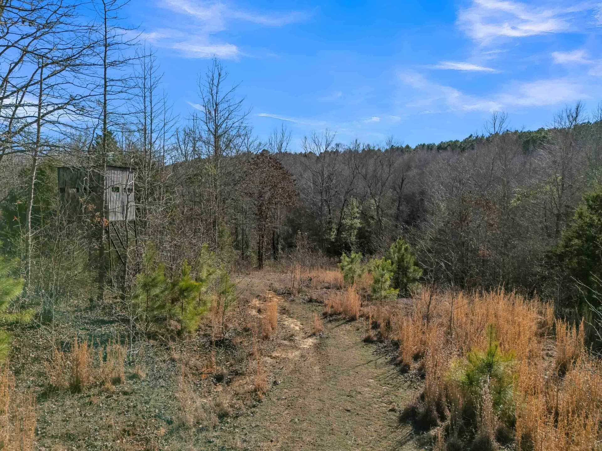 40 acres in Smith County - photo 32