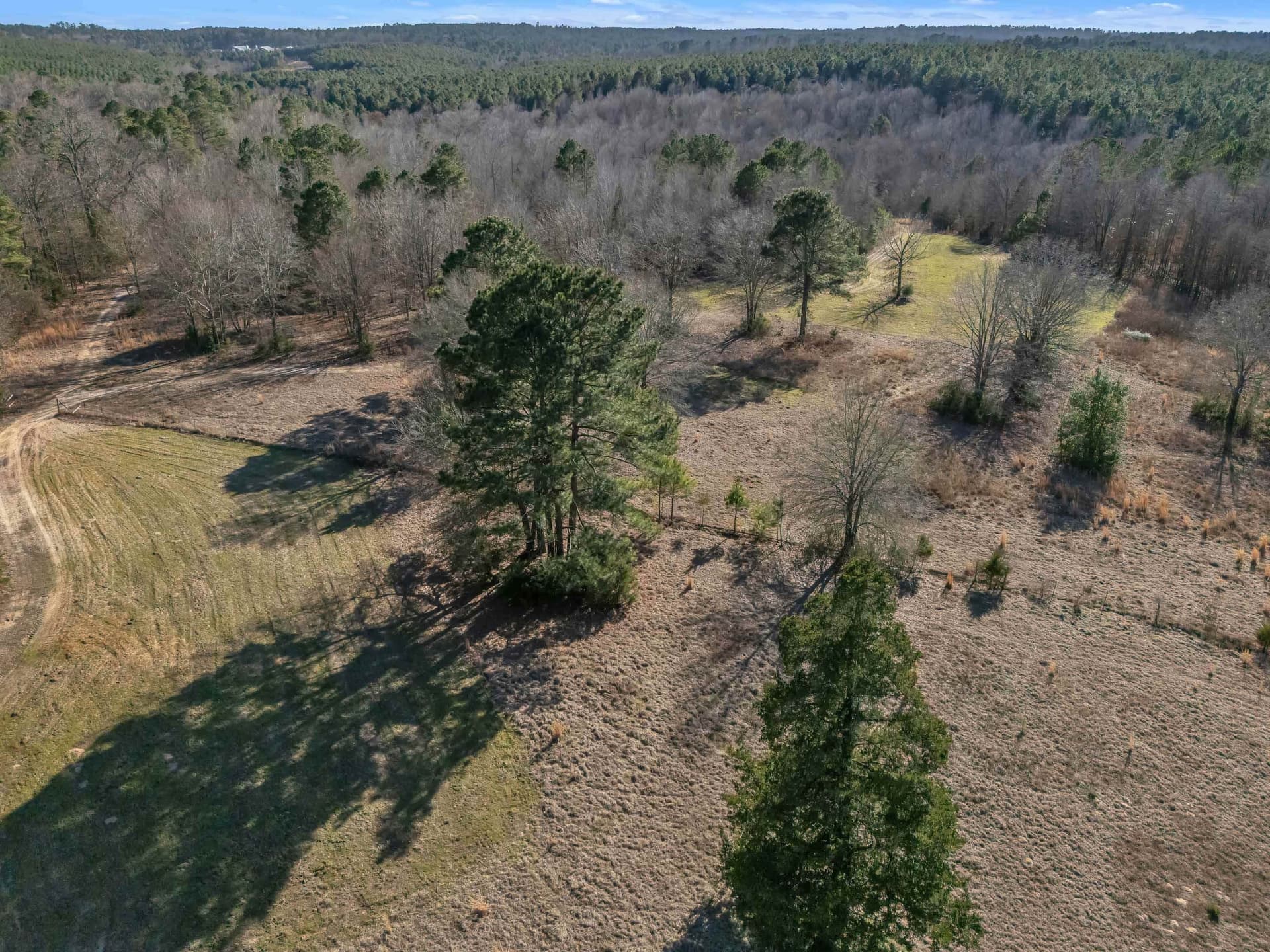40 acres in Smith County - photo 34