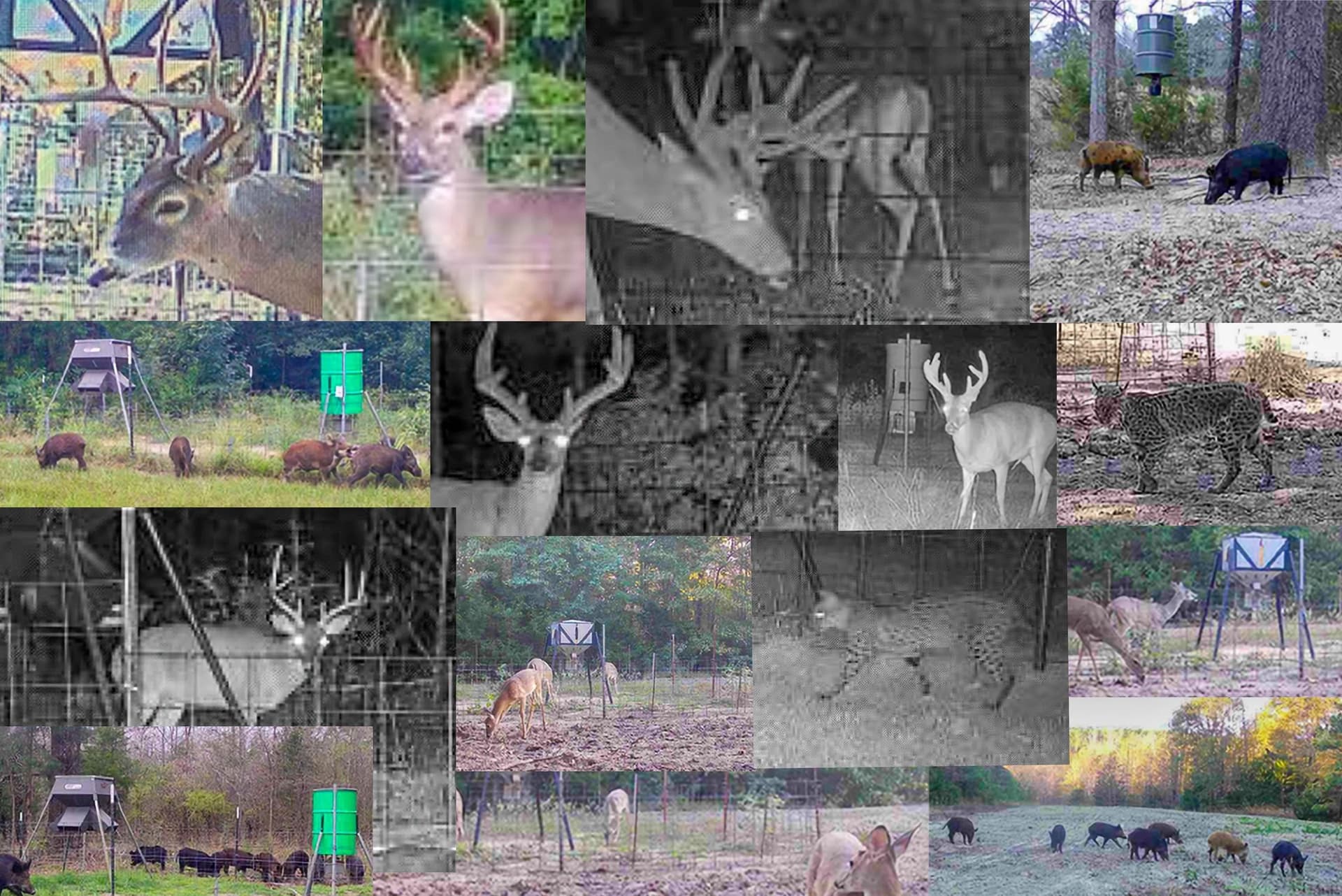 40 acres in Smith County - photo 33