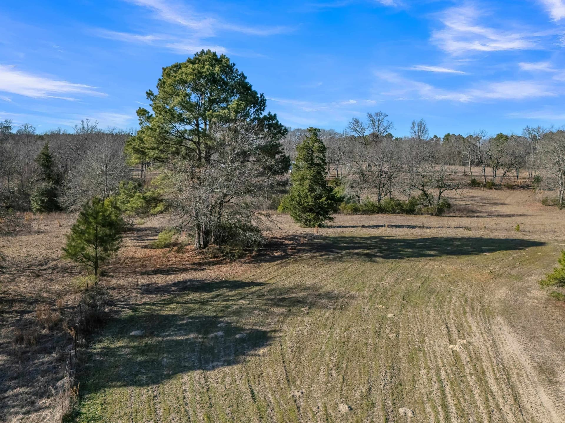 40 acres in Smith County - photo 35