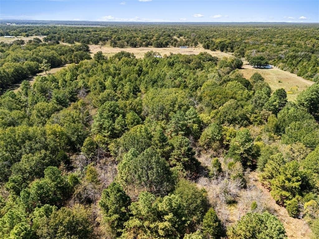 51.54 acres in Anderson County - photo 18
