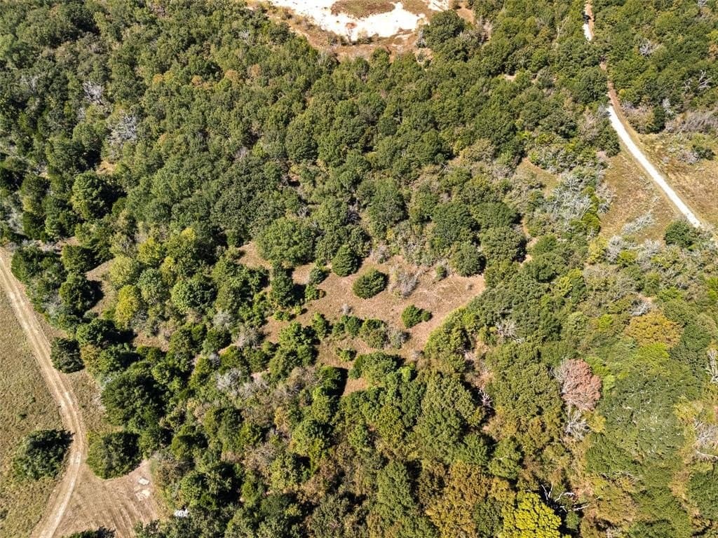 51.54 acres in Anderson County - photo 15