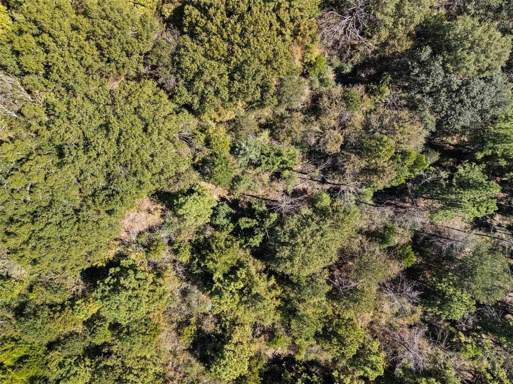 51.54 acres in Anderson County - photo 14