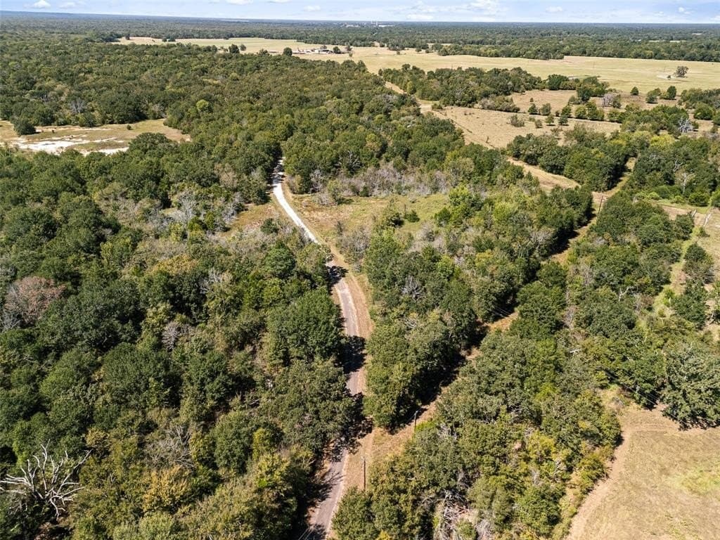 51.54 acres in Anderson County - photo 19