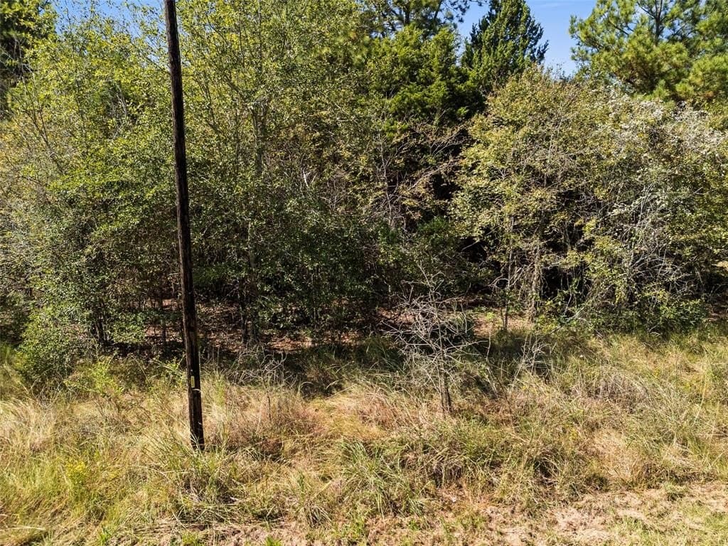 51.54 acres in Anderson County - photo 27