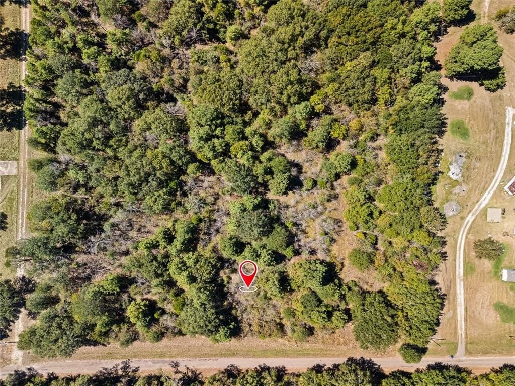 51.54 acres in Anderson County - photo 4