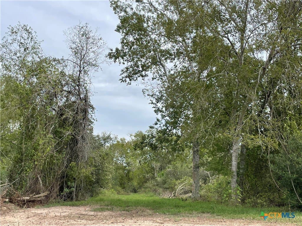 5.01 acres in Victoria County - photo 3