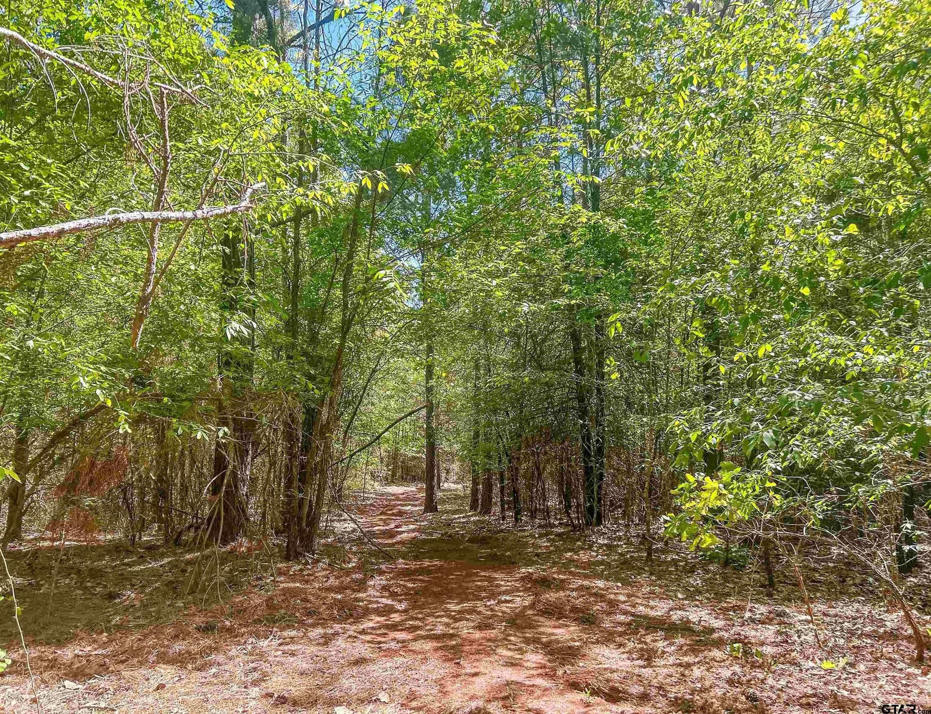 35.39 acres in Van Zandt County - photo 7