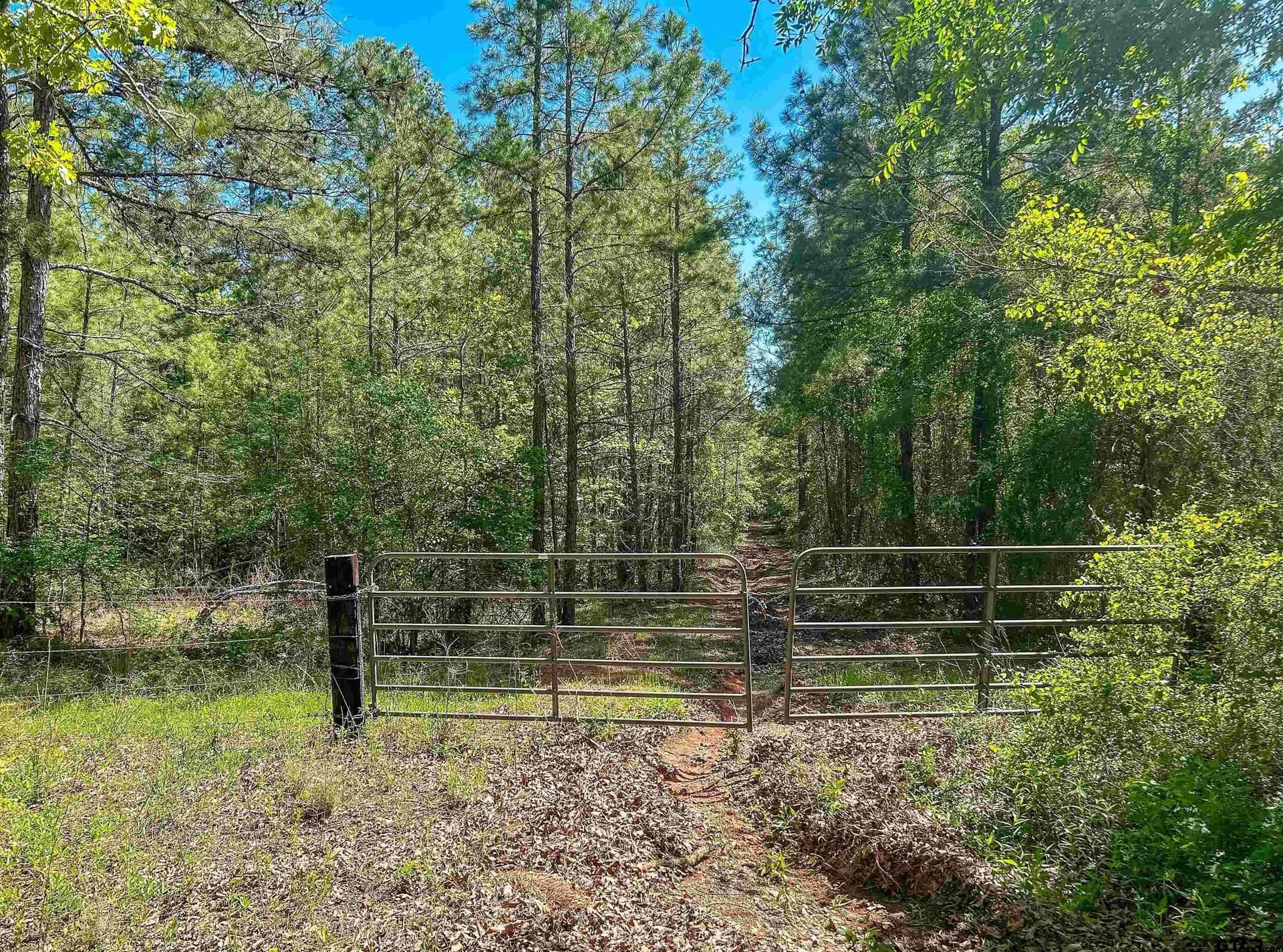 35.39 acres in Van Zandt County - photo 8