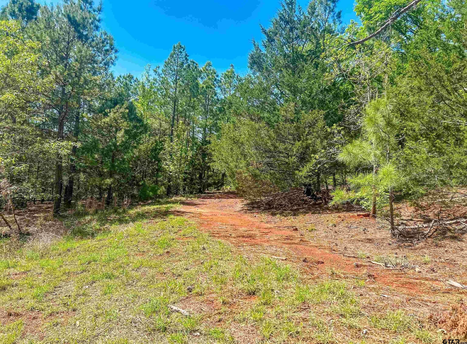 35.39 acres in Van Zandt County - photo 5