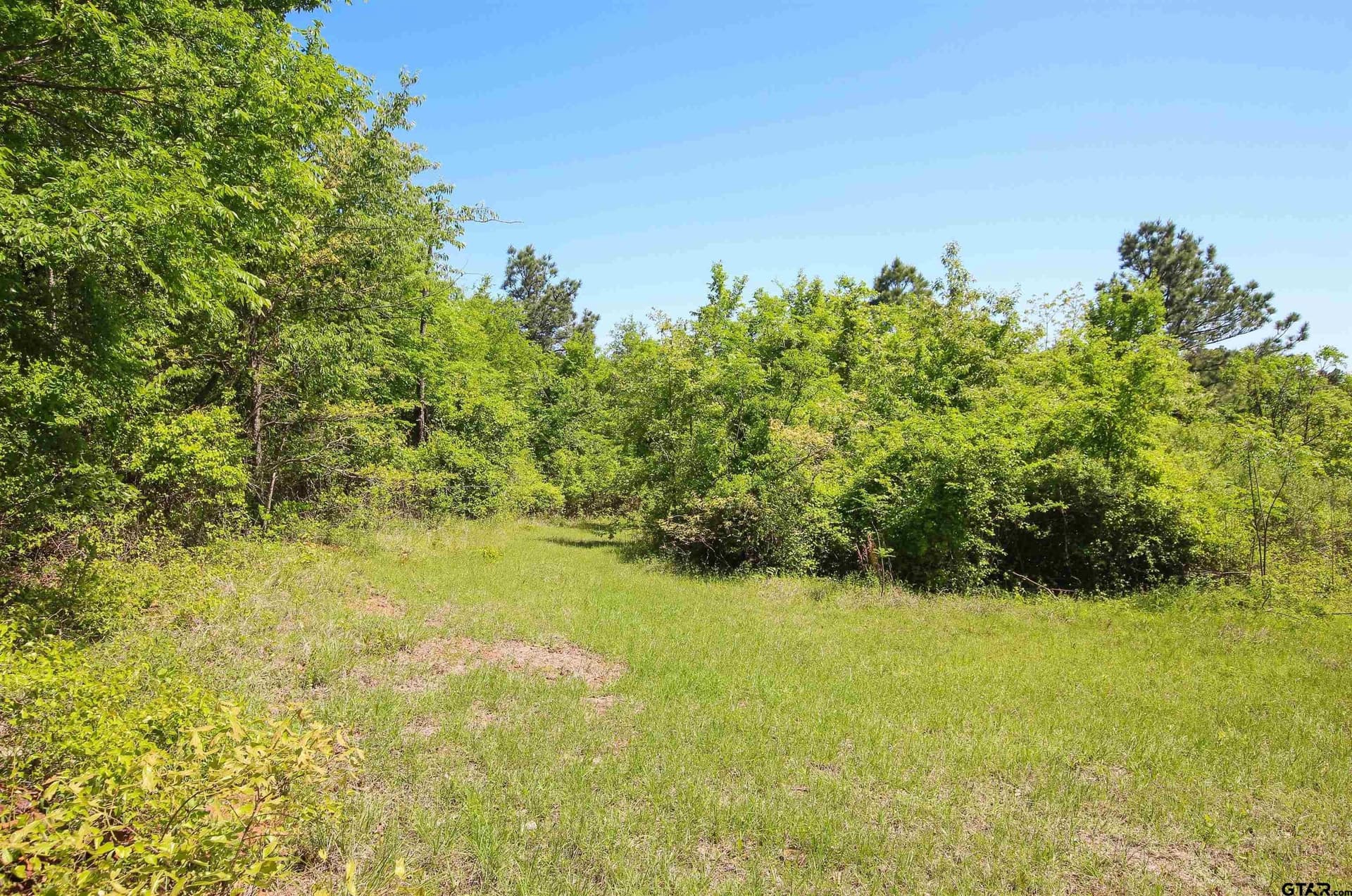35.39 acres in Van Zandt County - photo 2