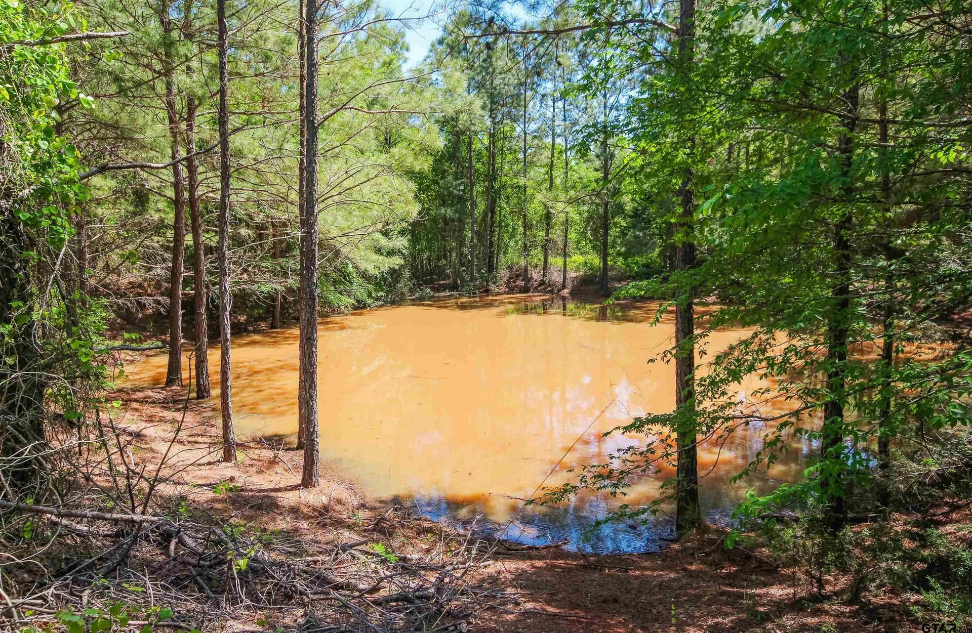 35.39 acres in Van Zandt County - photo 3