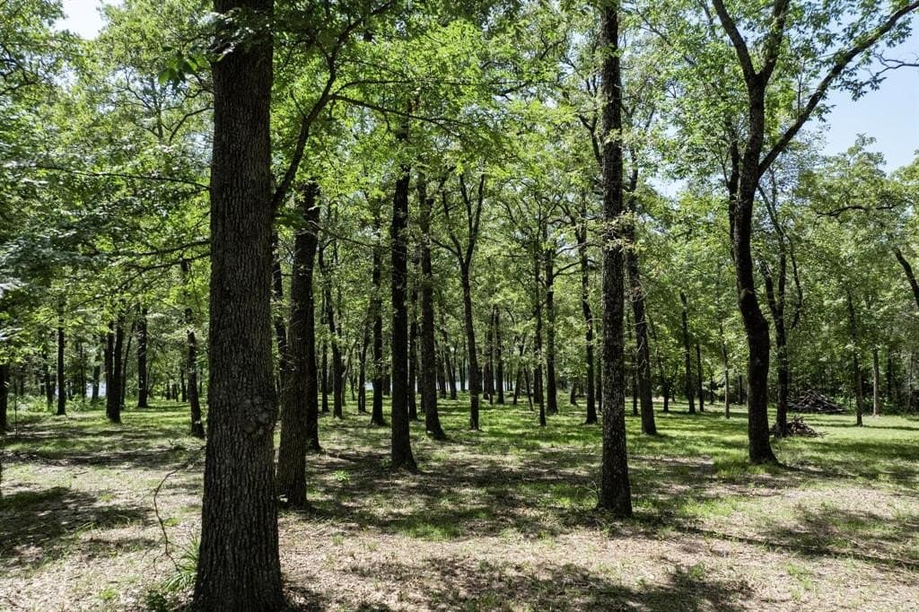 1 acres in Hunt County - photo 17