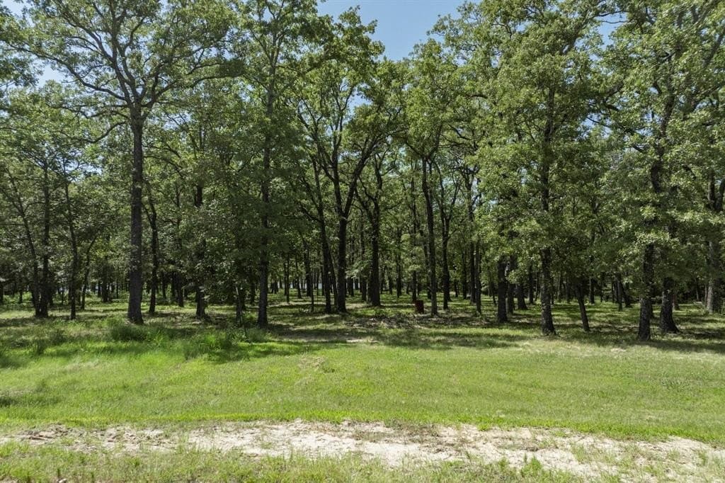1 acres in Hunt County - photo 16