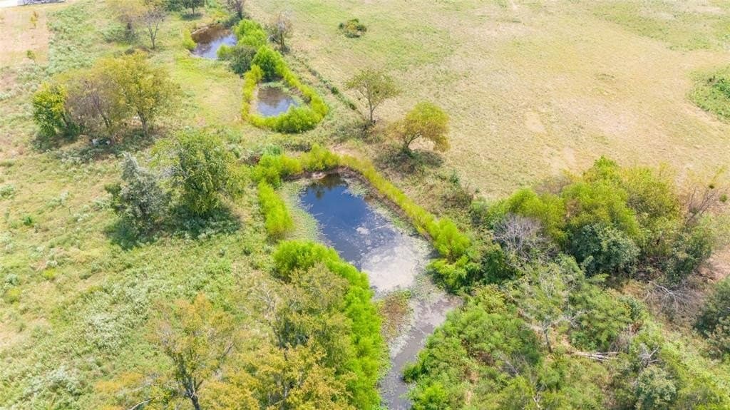 10 acres in Hopkins County - photo 20