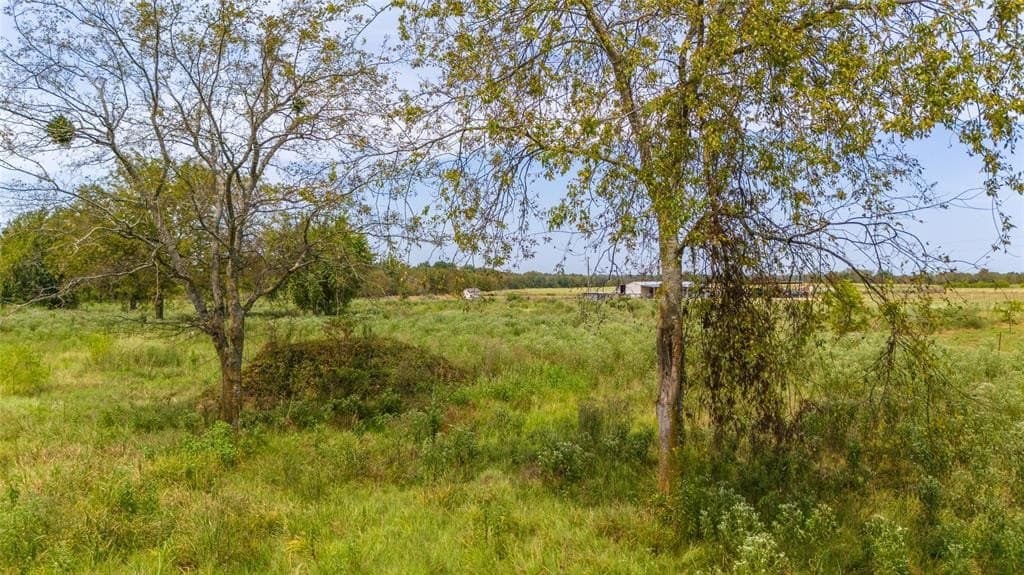 10 acres in Hopkins County - photo 24