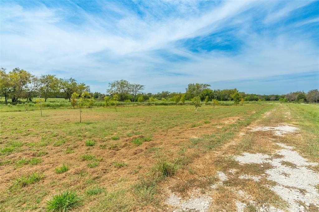 10 acres in Hopkins County - photo 33