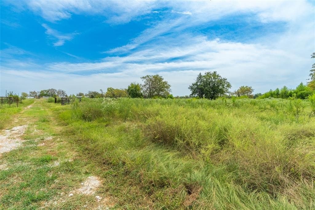 10 acres in Hopkins County - photo 19