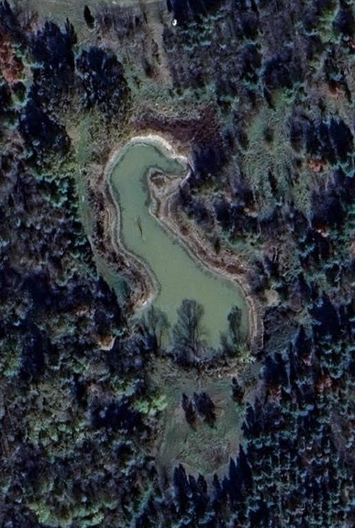 113.2 acres in Hunt County - photo 7