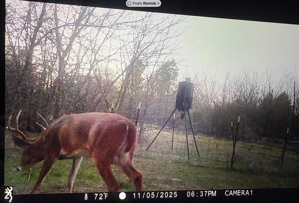 113.2 acres in Hunt County - photo 2