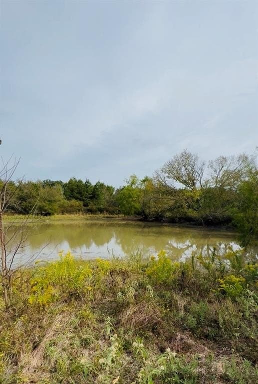 113.2 acres in Hunt County - photo 8