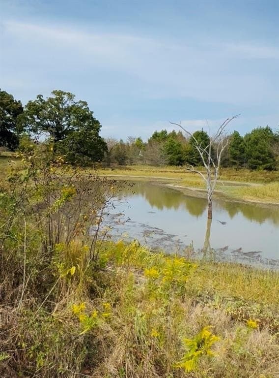 113.2 acres in Hunt County - photo 9