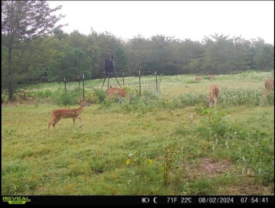 113.2 acres in Hunt County - photo 5
