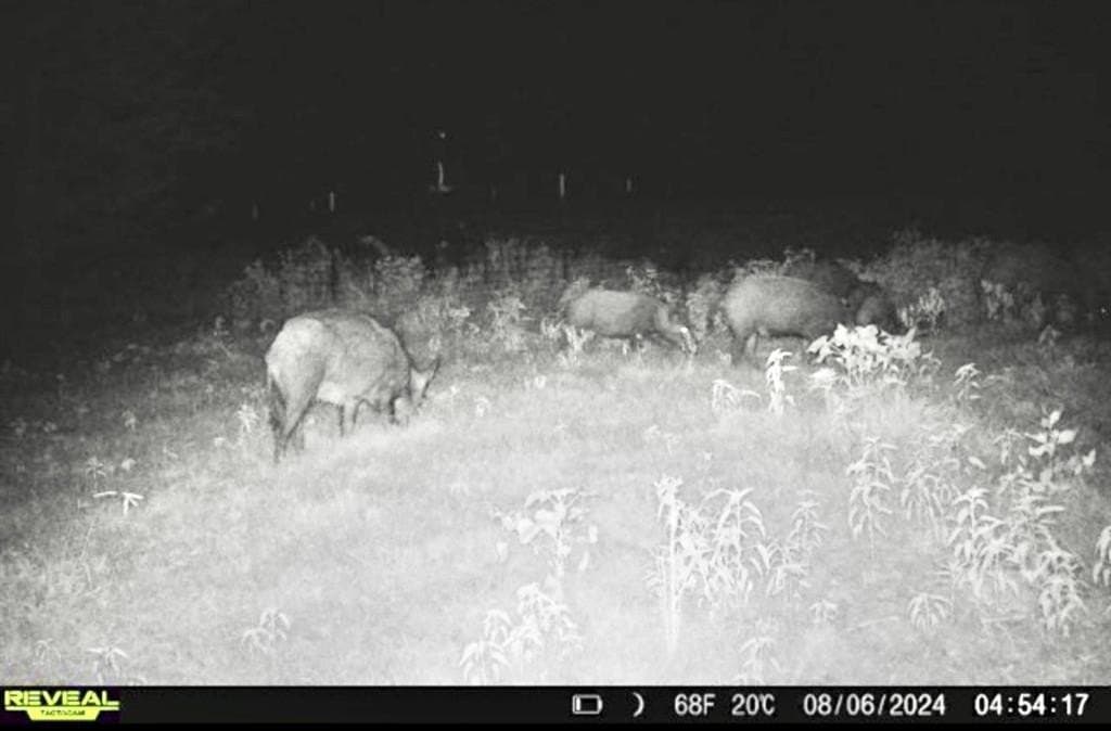 113.2 acres in Hunt County - photo 4