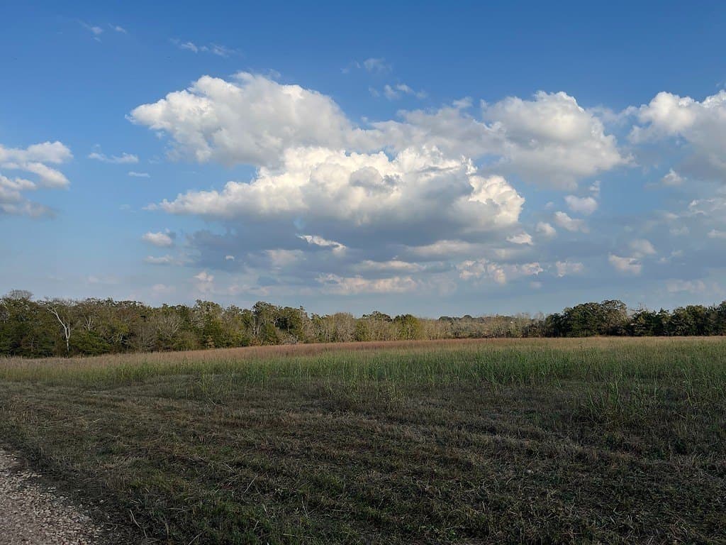 2 acres in Austin County - photo 3