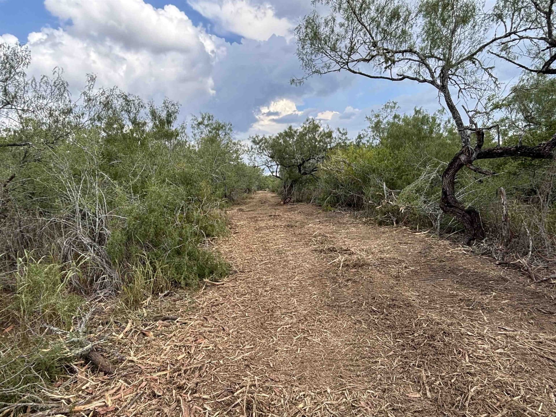 8 acres in JIM WELLS County - photo 9