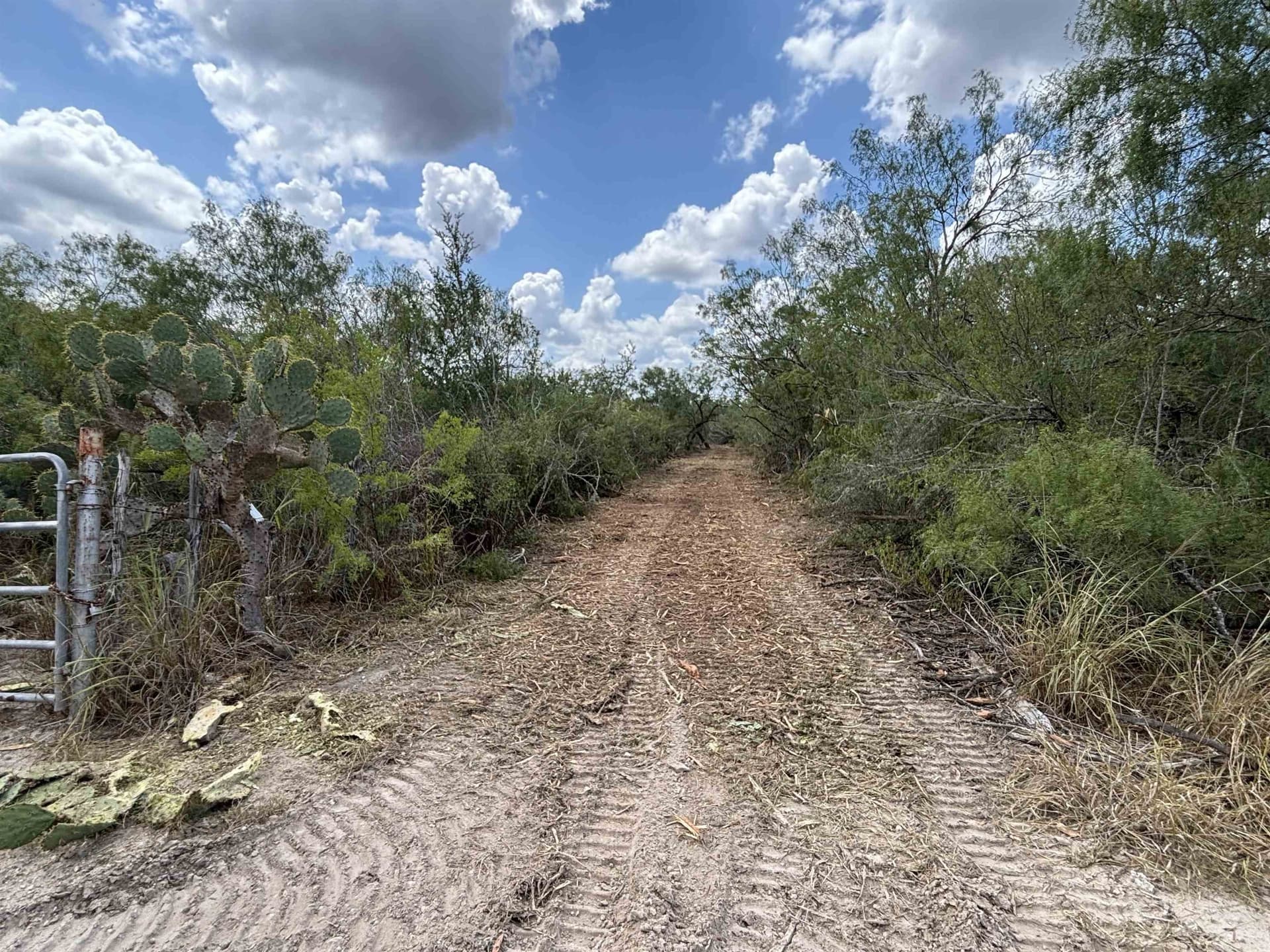 8 acres in JIM WELLS County - photo 8