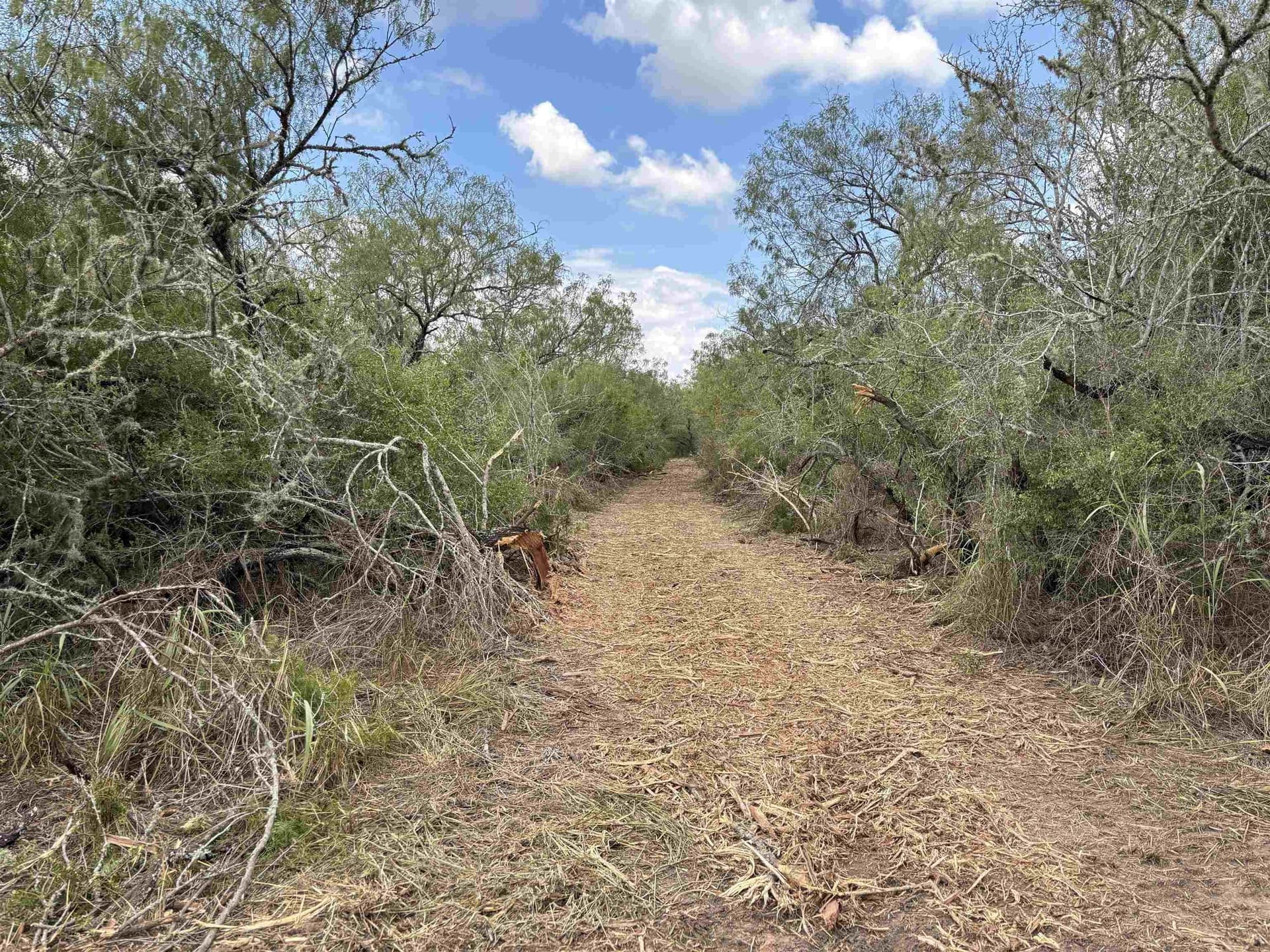 8 acres in JIM WELLS County - photo 11
