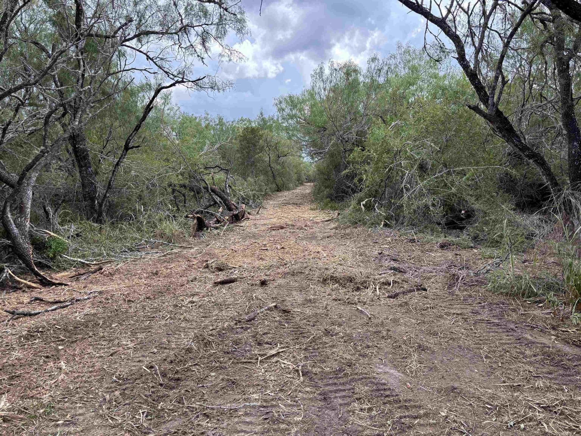 8 acres in JIM WELLS County - photo 4