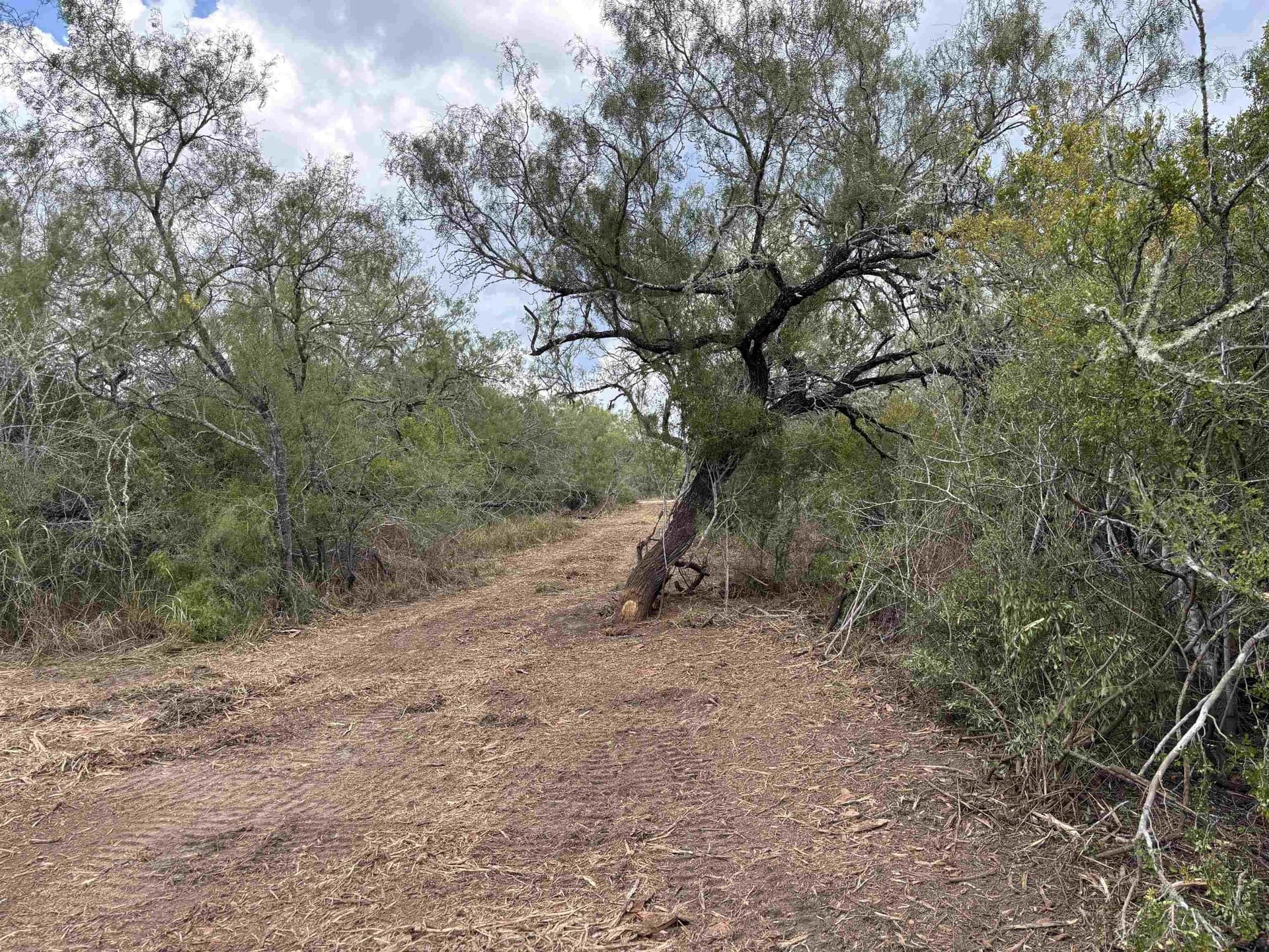 8 acres in JIM WELLS County - photo 10