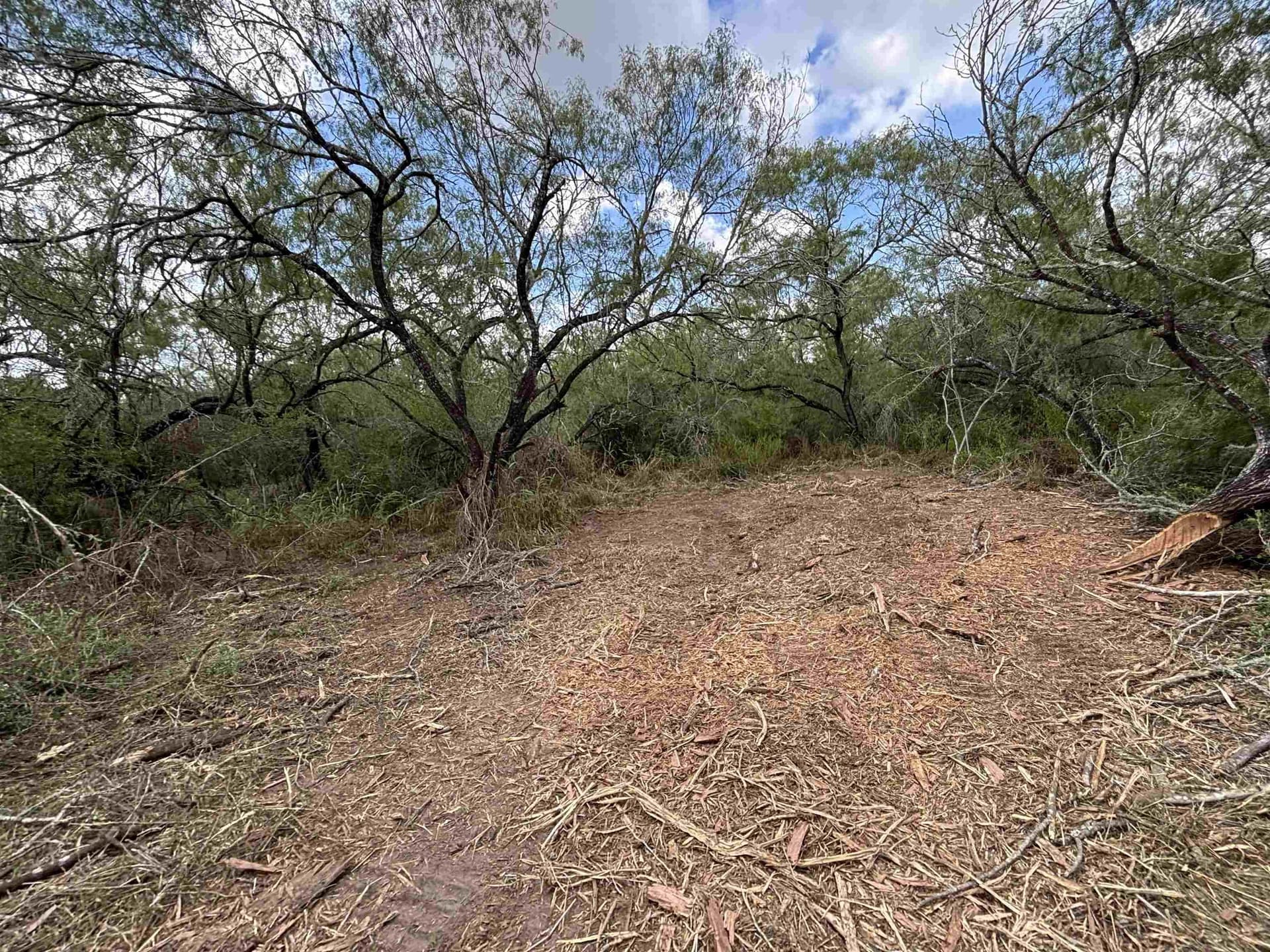 8 acres in JIM WELLS County - photo 5