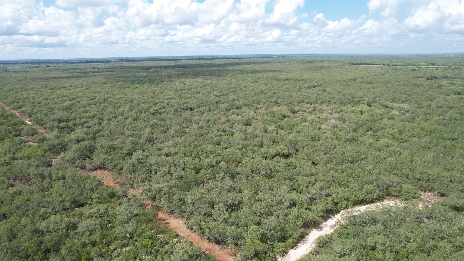 8 acres in JIM WELLS County - photo 3