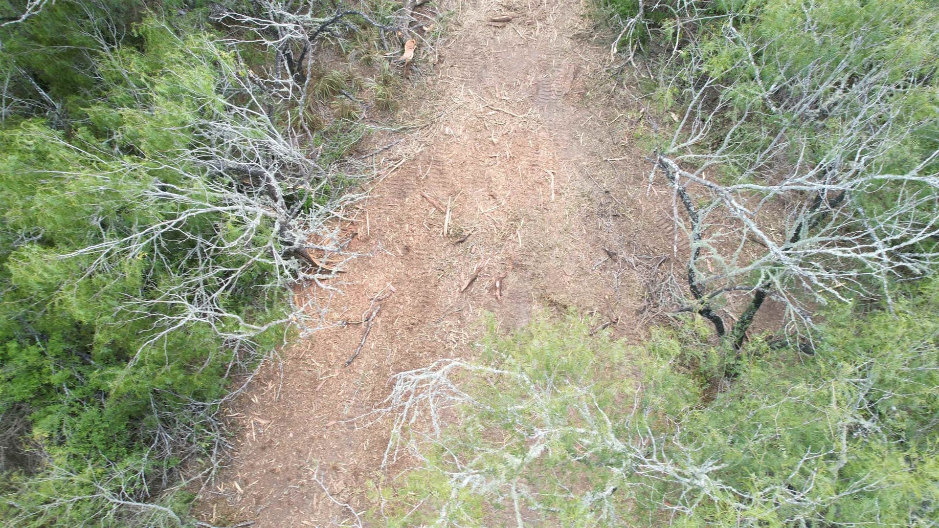 8 acres in JIM WELLS County - photo 7