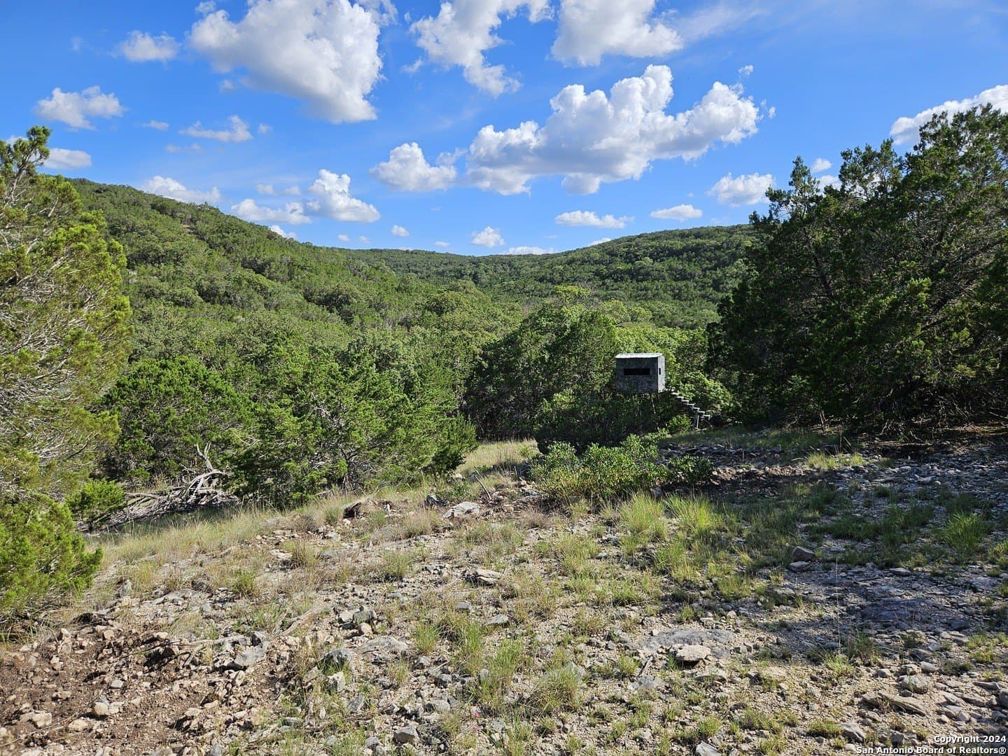 10 acres in Real County - photo 2