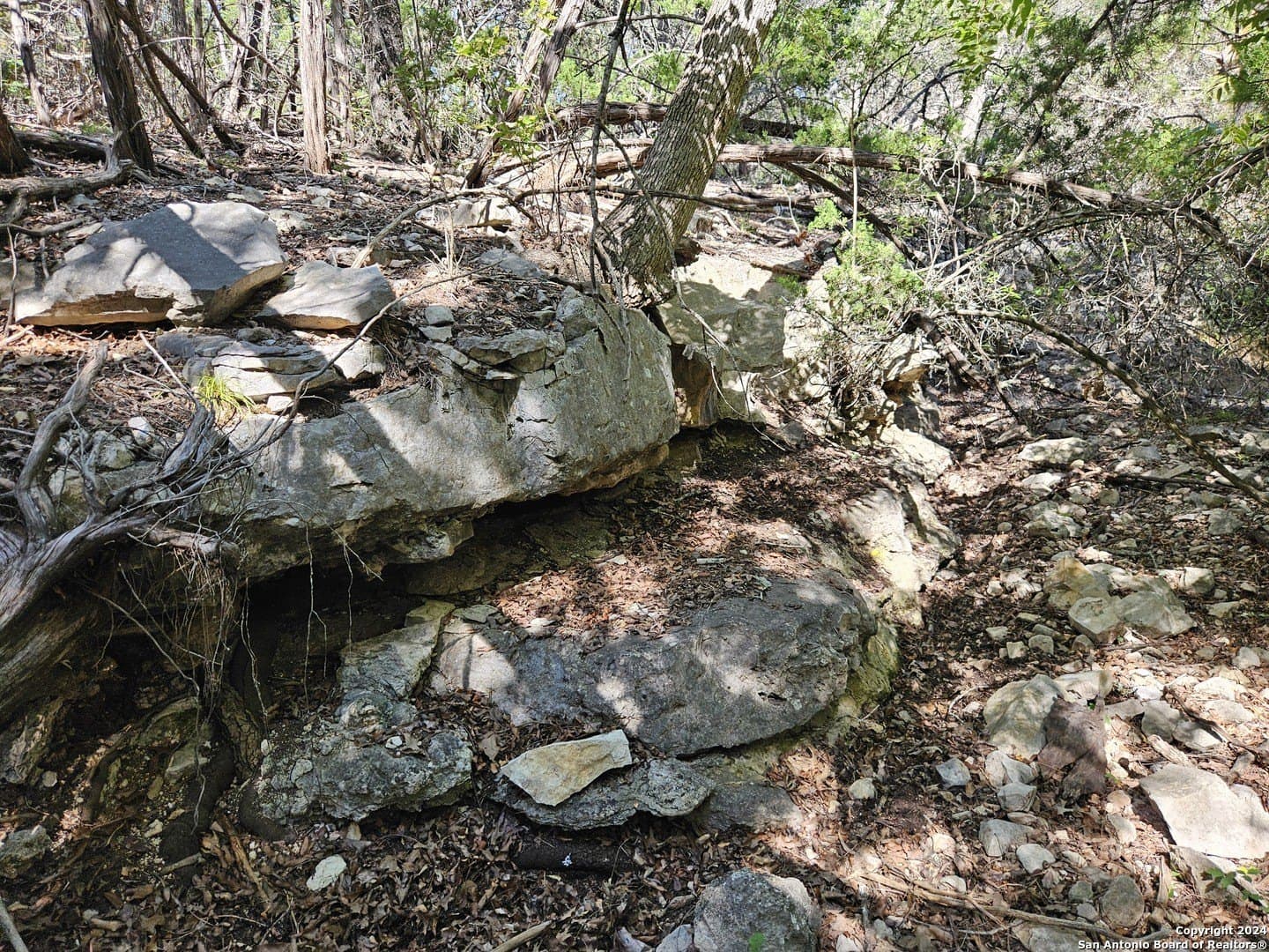 10 acres in Real County - photo 13
