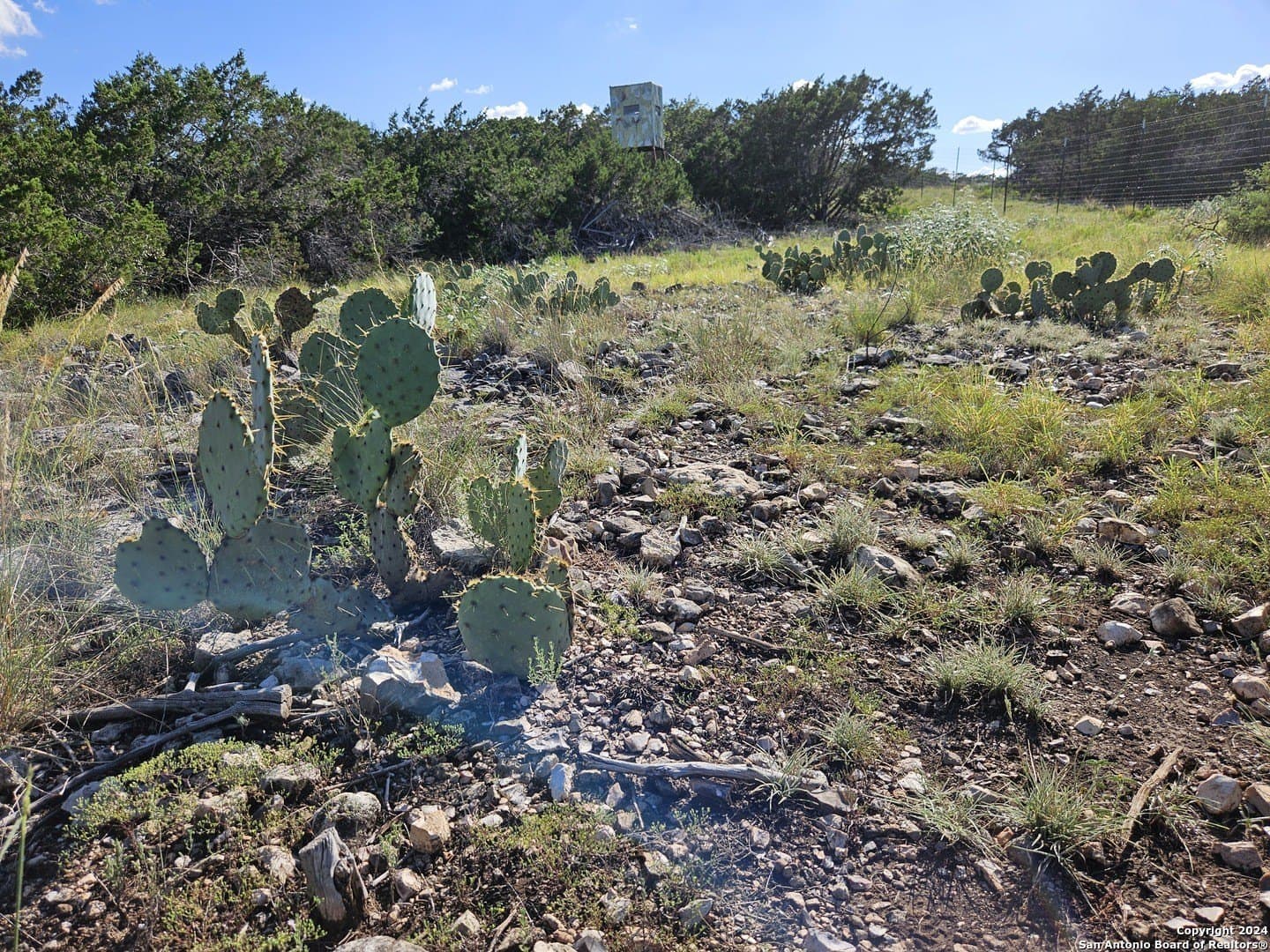 10 acres in Real County - photo 8